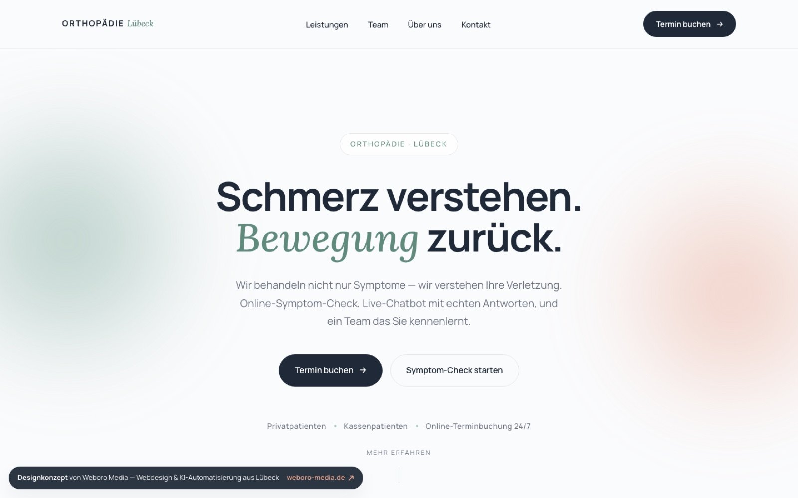 Hero-Screenshot der Beispielseite Orthopädie Lübeck mit KI-Symptom-Check